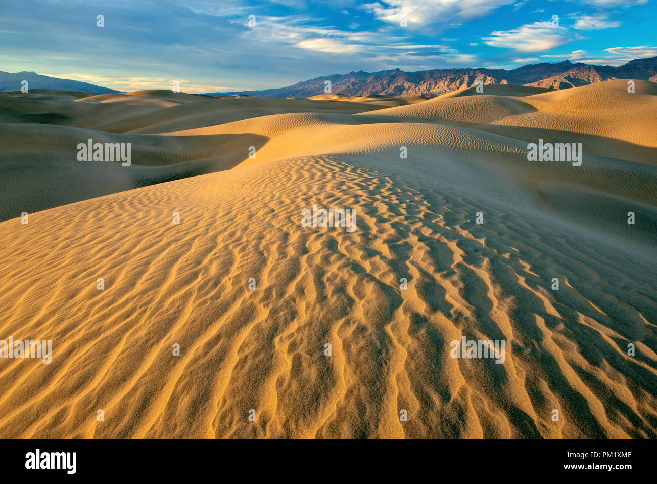 Mesquite Dünen, Death Valley Nationalpark, Kalifornien Stockfoto