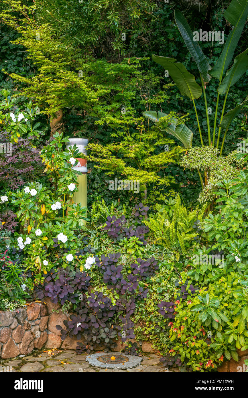 Rock Garden, Zypressen Garten, Mill Valley, Kalifornien Stockfoto