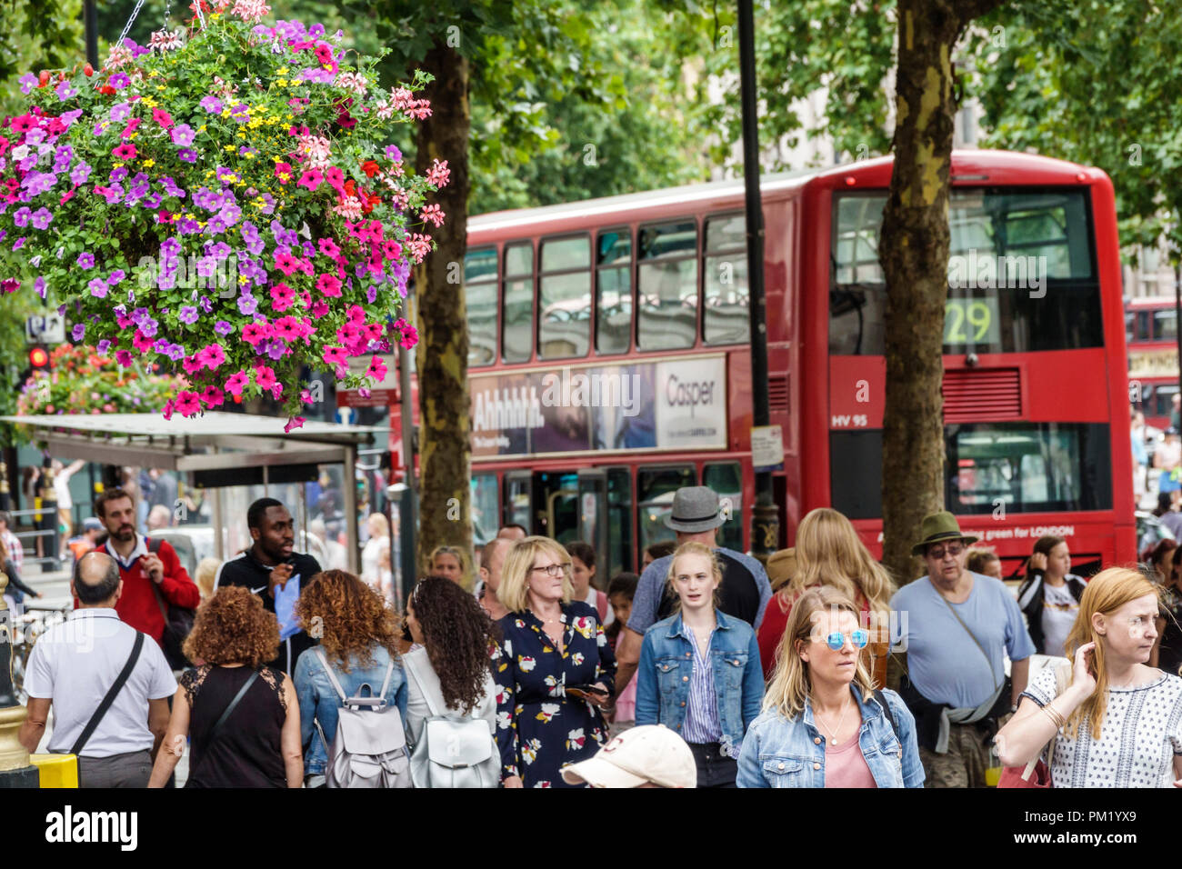 London England, Großbritannien, Trafalgar Square, überfüllter Bürgersteig, Frau weibliche Frauen, schwarzer Mann Männer, Doppeldeckerbus, Fußgänger, Blumenkorb, Großbritannien GB Englisch EU Stockfoto