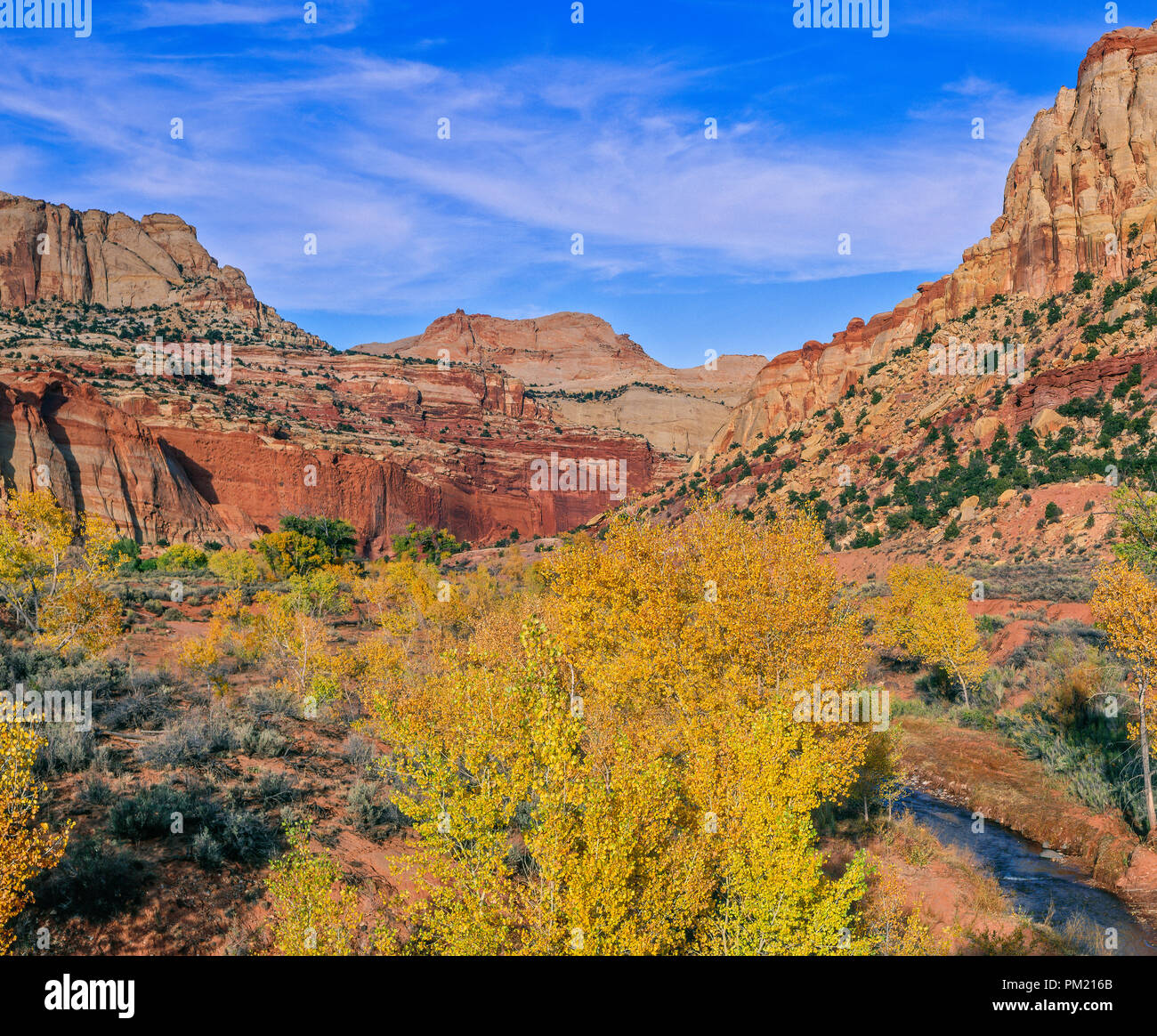 Angenehme Creek, Capitol Reef National Park, Utah Stockfoto