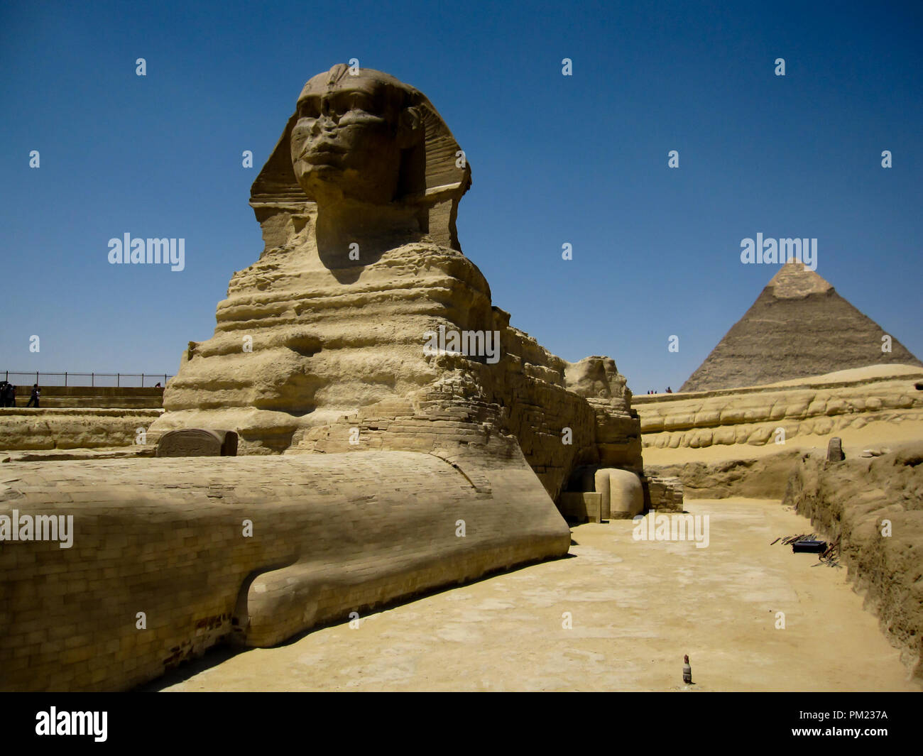 Nahaufnahme Blick auf die Große Sphinx von Gizeh, Ägypten in einem begrenzten Bereich. Dies ist ein wichtiges touristisches Ziel und wichtige archäologische Stätte. Stockfoto