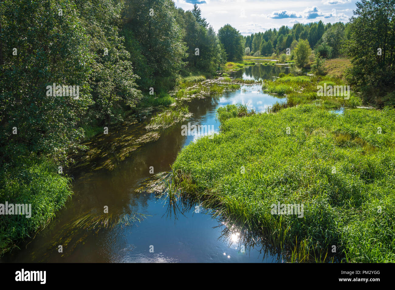 Einen schönen Sommer Landschaft mit einem kleinen Fluss und einer Reflexion der Sonne im Wasser. Stockfoto