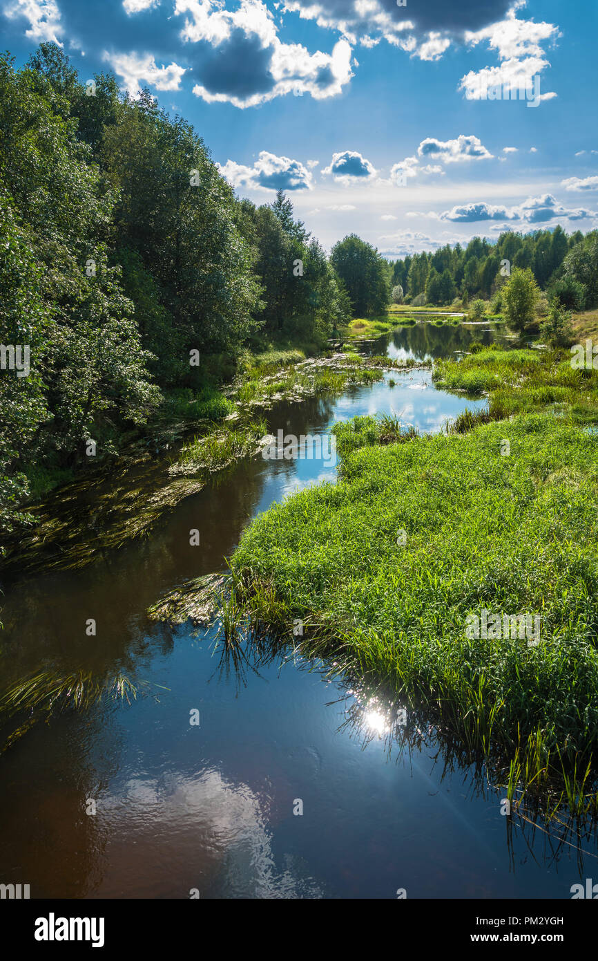 Einen schönen Sommer Landschaft mit einem kleinen Fluss und einer Reflexion der Sonne im Wasser. Stockfoto