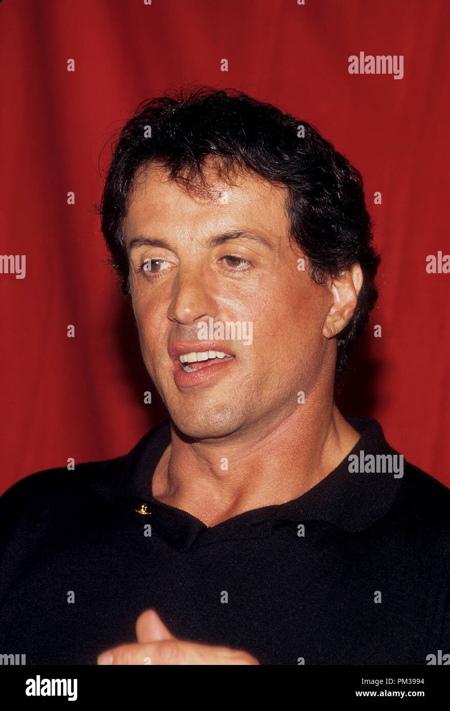 Sylvester Stallone, August 1997. Datei Referenz Nr. 1282 001 GFS Stockfoto