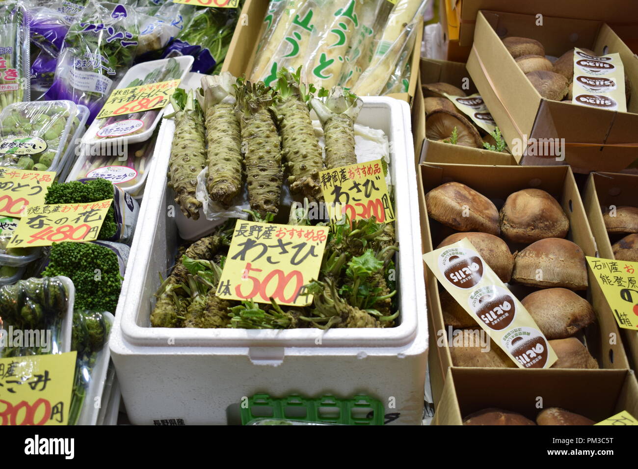 Ganze Wasabi root für Verkauf Stockfoto