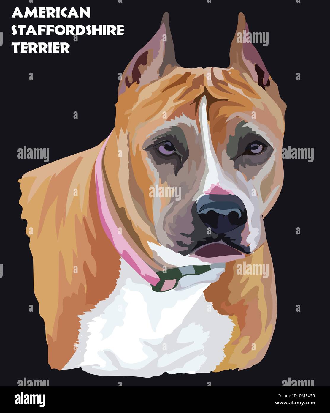Farbige Porträt der American Staffordshire Terrier isoliert Vector Illustration auf schwarzem Hintergrund Stock Vektor