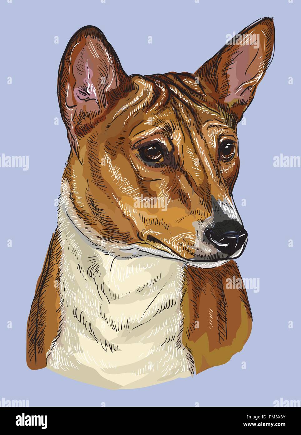 Basenji Vektor hand Zeichnung Illustration in verschiedenen Farben auf blauem Hintergrund Stock Vektor