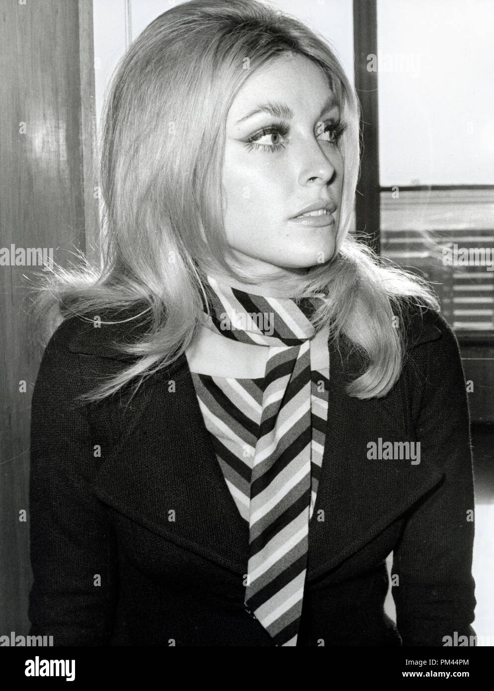 Sharon Tate, 1966. Datei Referenz Nr. 1027 002 THA © GFS/Hollywood Archiv - Alle Rechte vorbehalten. Stockfoto