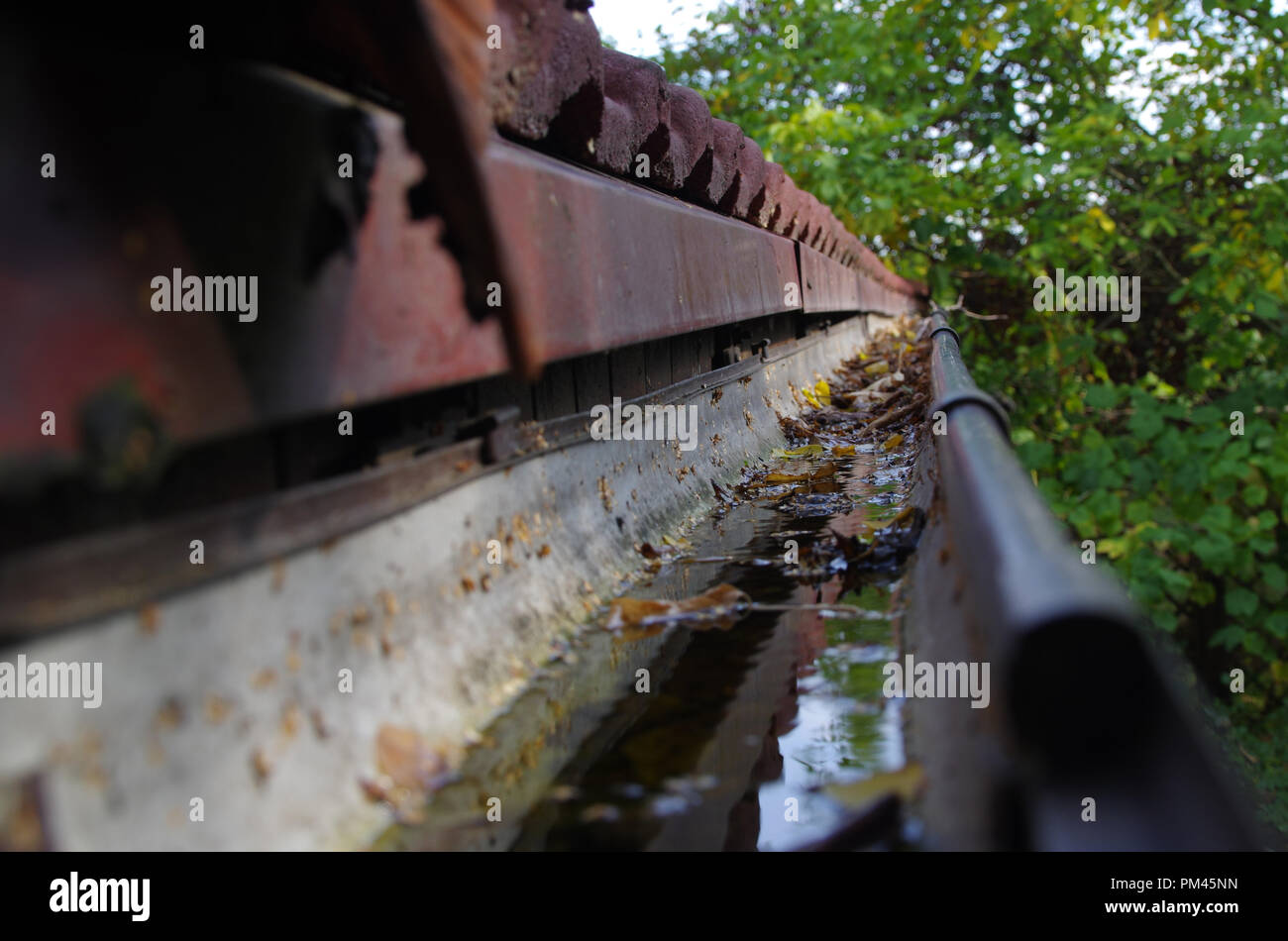 Darf Wasser In Der Dachrinne Stehen Bleiben www.alamy.de