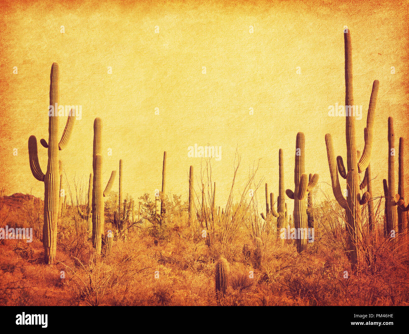 Landschaft der Wüste mit Saguaro Kakteen. Foto im Retro-Stil. Hinzugefügt Papier Textur. Getonten Bild Stockfoto