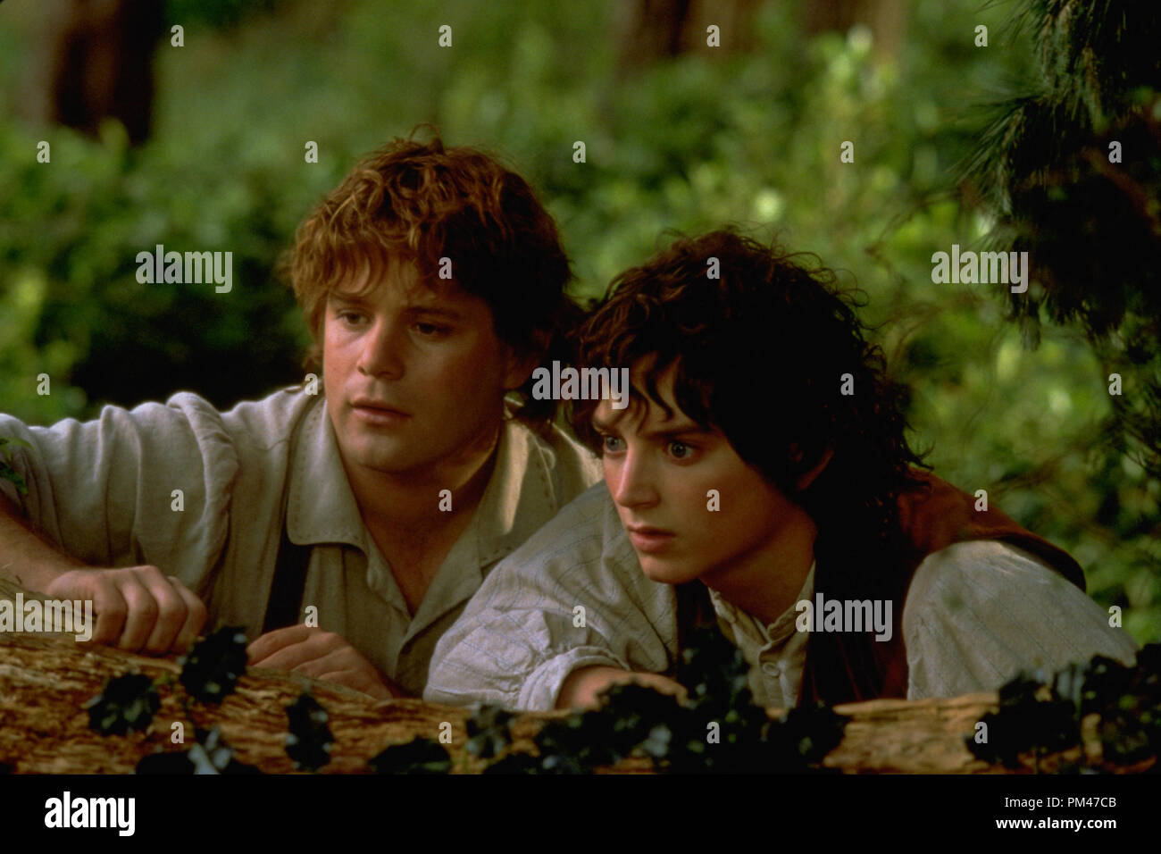 Newline Bilder präsentiert "Der Herr der Ringe: Die Gefährten" Sean Astin, Elijah Wood © 2002 Neue Linie Stockfoto