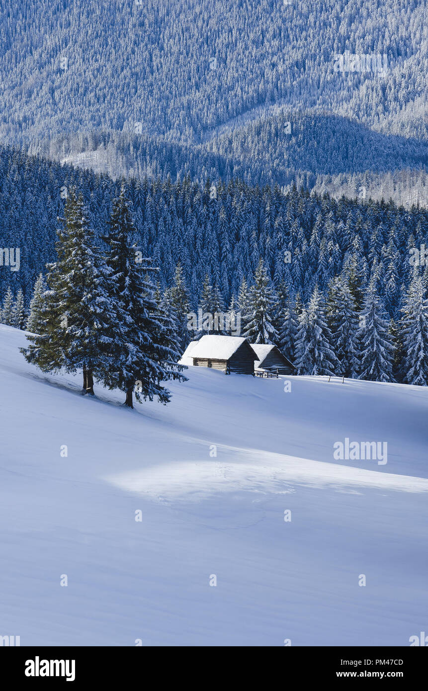 Weihnachten Winter Landschaft. Berghütten in der Tanne verschneiten Wald. Sonnigen Tag im frostigen Wetter Stockfoto