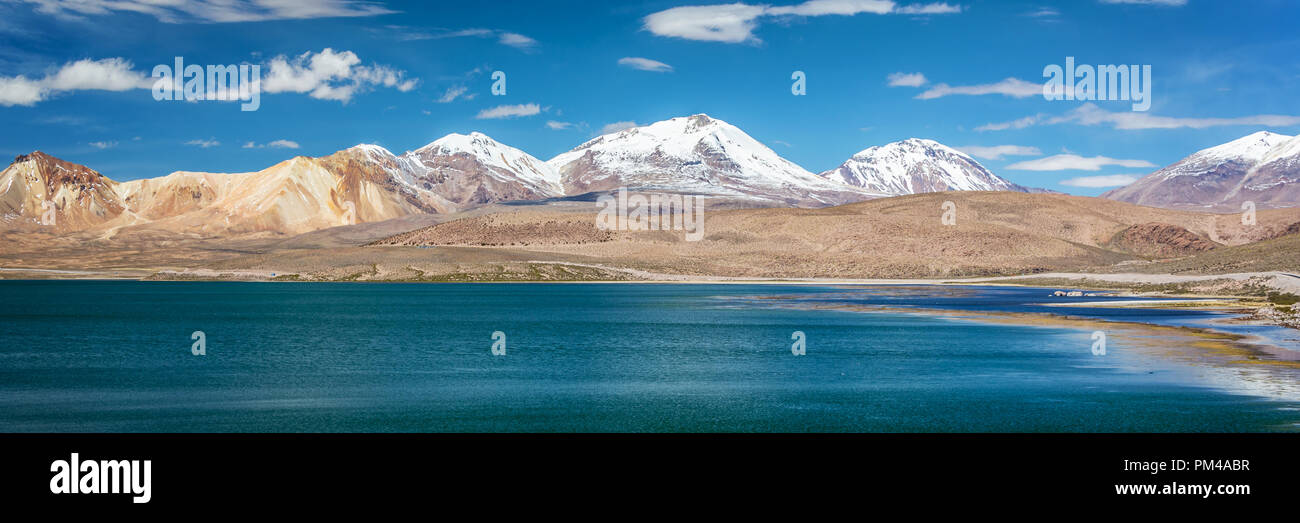 Panorama der Chungara See, Chile Stockfoto