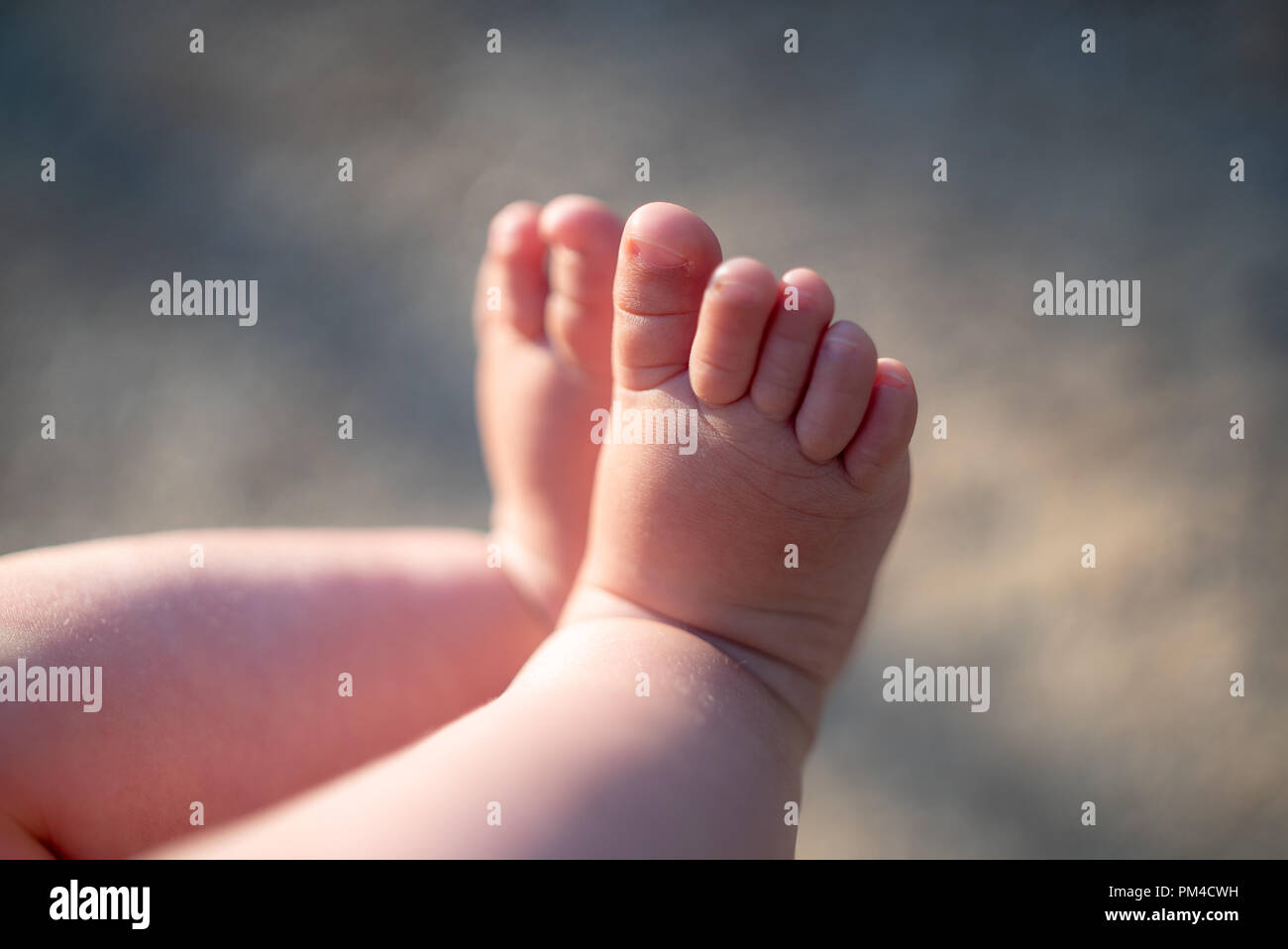 Baby Beine Fusse 6 Monat Baby Stockfotografie Alamy