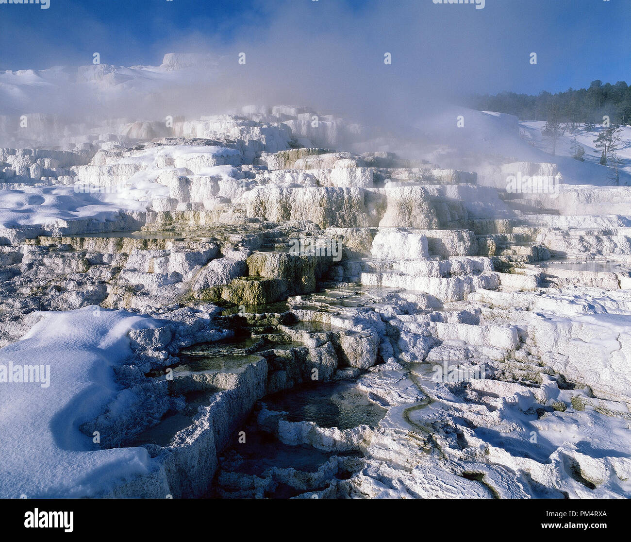 USA - Yellowstone - Wyomming - Mammoth Hot Spring - Minerva Terrassen Stockfoto