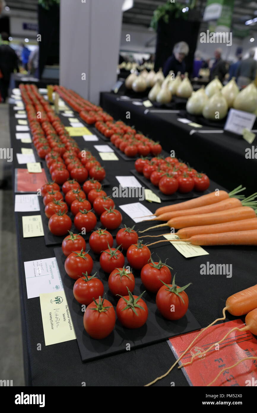 Harrogate Flower Show 2018 Harrogate, Yorkshire, UK. September, 2018 18. Jährliche Herbst Harrogate Flower Show Stockfoto