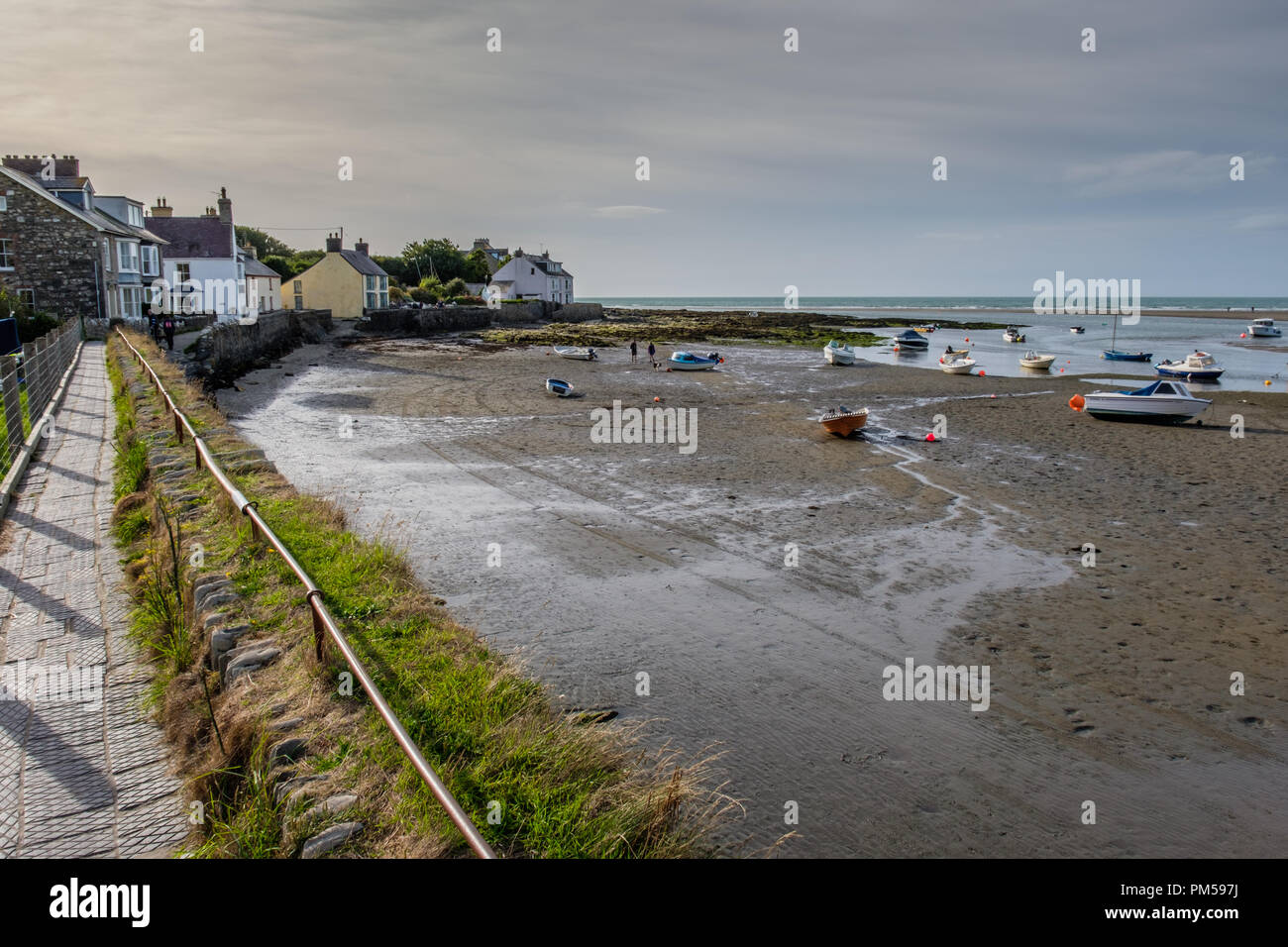 Wandern entlang der Küste des Flusses Nyfer Estuary, Newport, Pembrokeshire, Wales Stockfoto