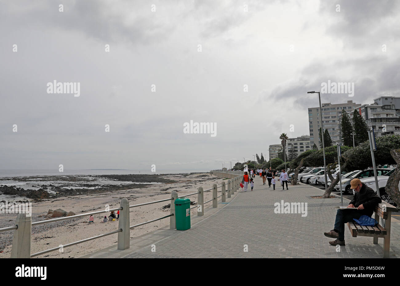 Die Sea Point Promenade mit der ikonischen Wind geformten Bäume, Kapstadt, Südafrika. Stockfoto