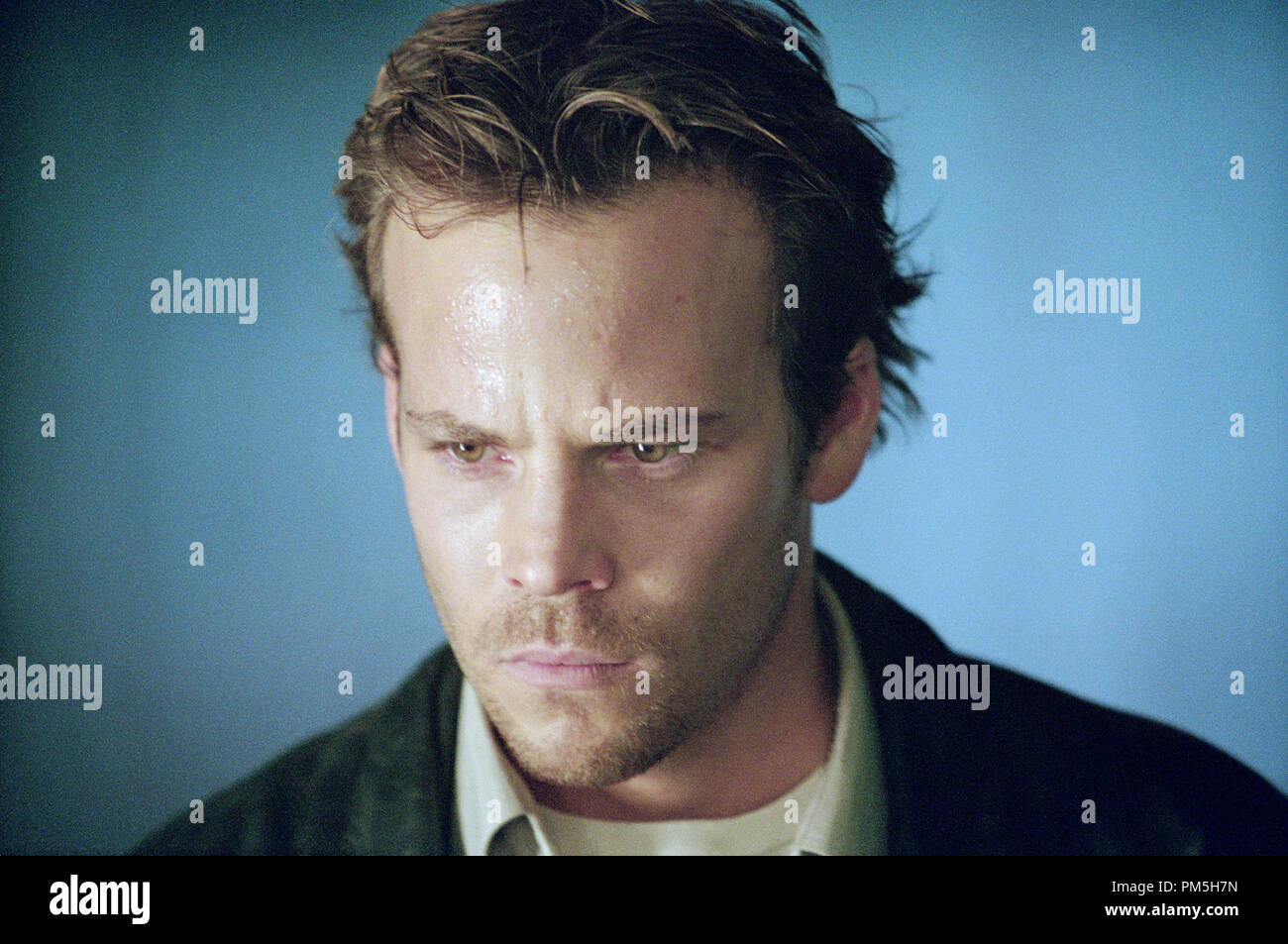 Studio Werbung immer noch von "FeardotCom" Stephen Dorff © 2002 Warner Brothers Photo Credit: Etienne Braun Stockfoto