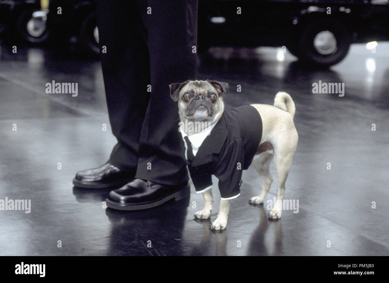 Film Still / Werbung noch von 'Men In Black II "Mushu © 2002 Columbia Pictures Photo Credit: Melinda Sue Gordon Stockfoto