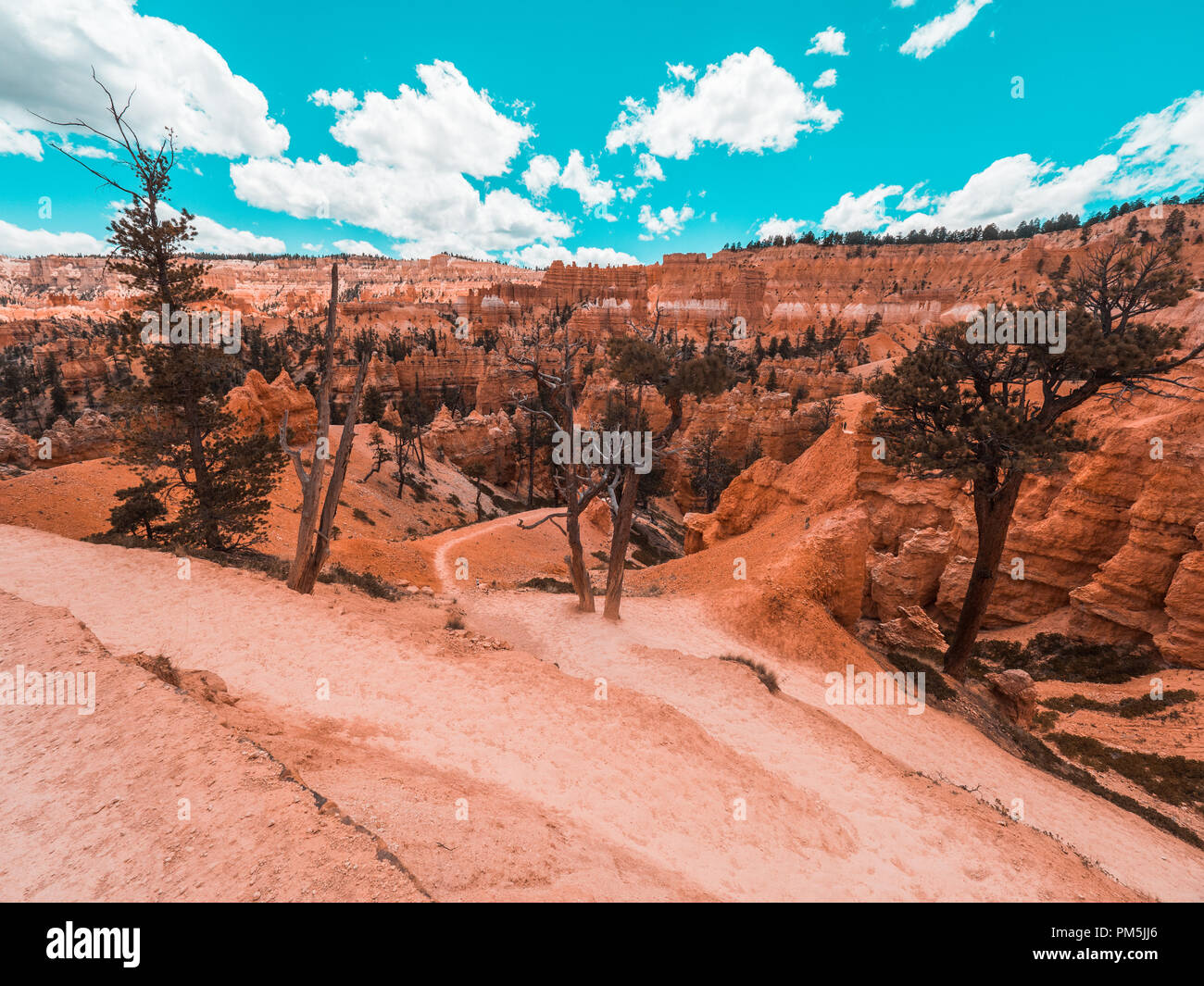 Schönen Spaziergang im Bryce Canyon mit Sonne und klare Himmel Stockfoto