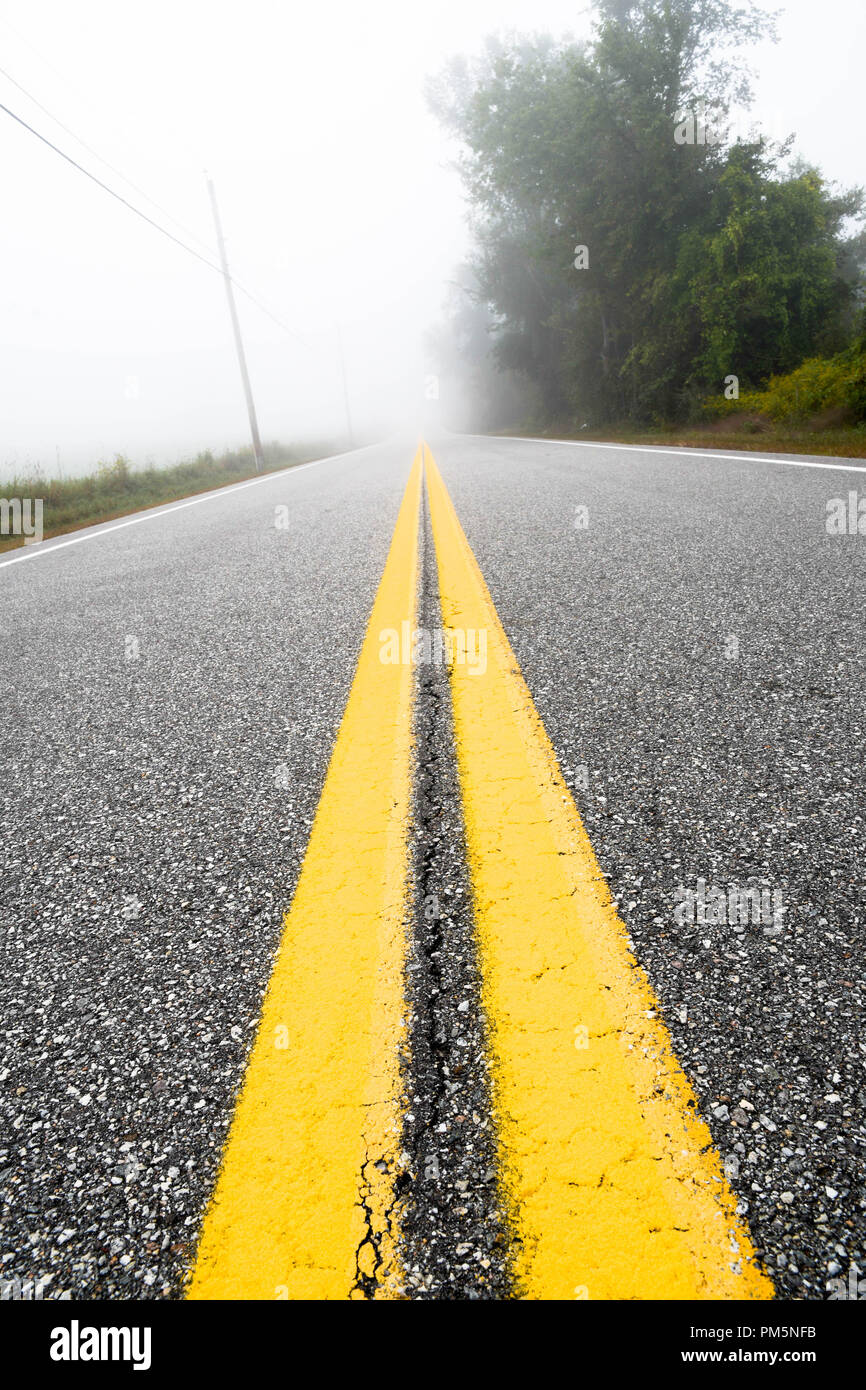 Niedrige Perspektive einer doppelten gelben Linie auf einer langen Landstraße auf einem nebligen Morgen. Stockfoto