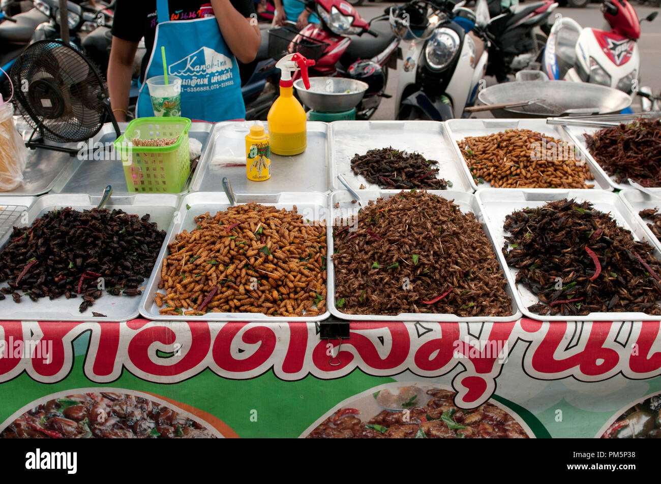 Thailand, Lebensmittelmarkt, Insekten Stockfoto