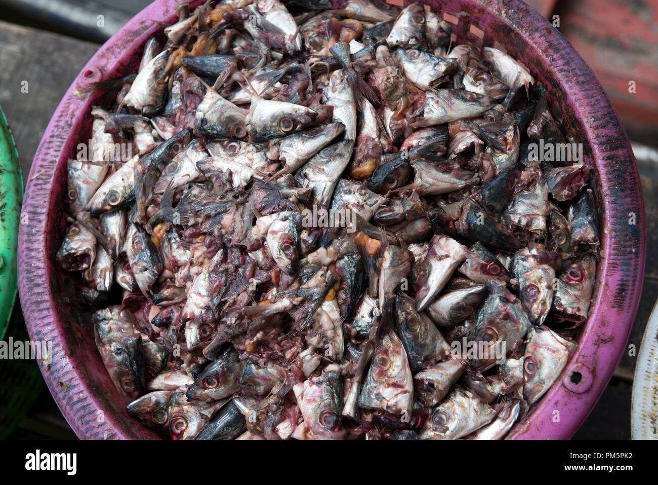 Abfälle von Fischen zu Mehl für das Tier bestimmt, Songkhla, Thailand und Koh Yo feed Stockfoto