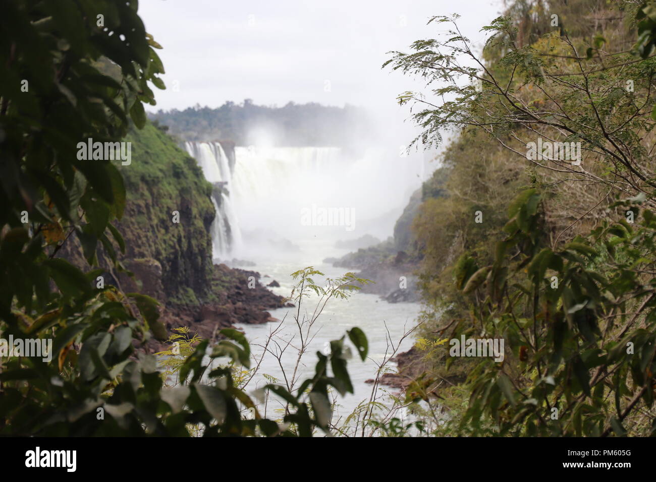 Die Iguazu Wasserfälle Brasilien Stockfoto