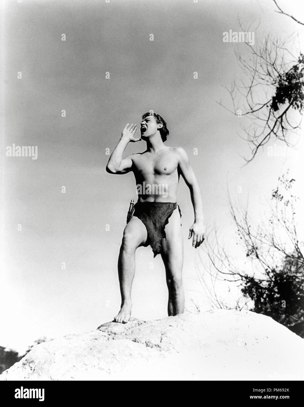 Johnny Weissmuller, 'Tarzan und sein Kumpel' MGM Datei Referenz 1934 #31316 120 THA Stockfoto