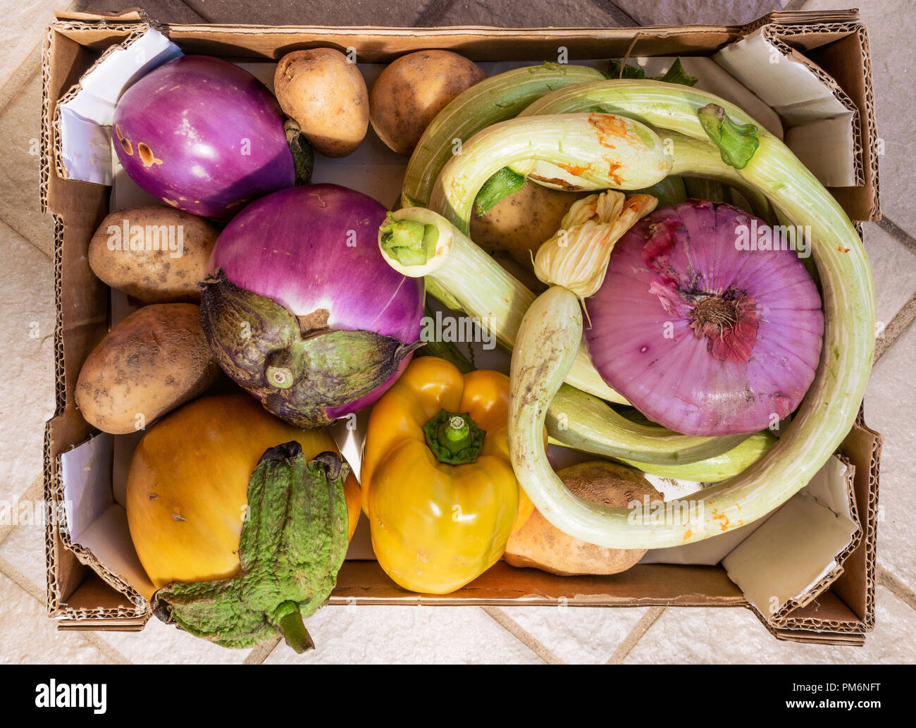 Rohes Gemüse, große reife Aubergine, Auberginen, Zwiebeln, Kartoffeln, Paprika, Gelb, Grün und Violett in einer Box Stockfoto
