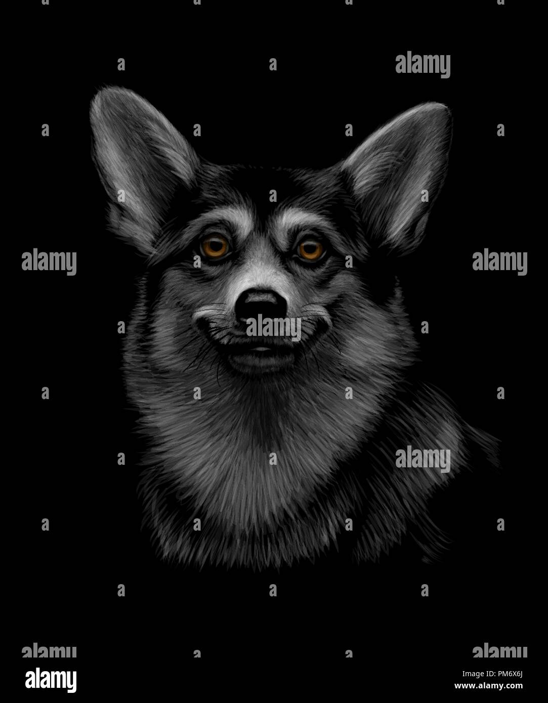 Porträt eines Welsh Corgi Kopf auf einem schwarzen Hintergrund. Stock Vektor