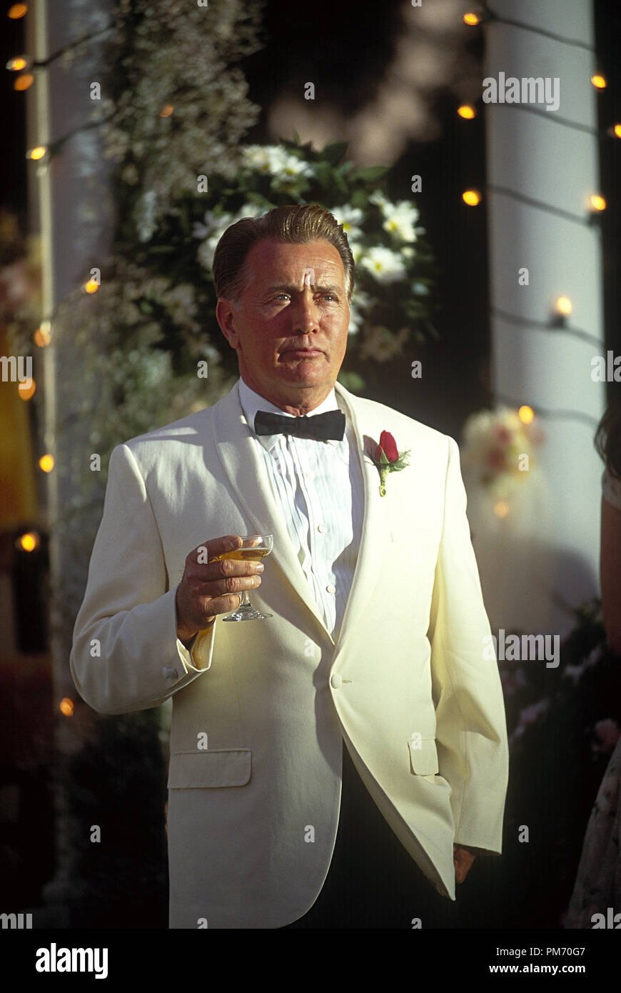 Film Still / Werbung immer noch von "Catch Me If You Can' Martin Sheen © 2002 DreamWorks Foto: Andrew Cooper Stockfoto