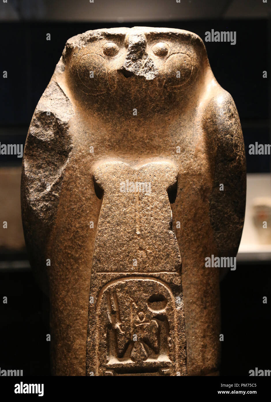 Abbildung Gottes Ra-Horakhty einer sitzenden Falcon Podest hinter einer Kartusche von Ramses II. 19. Dynastie. Herrschaft von Ramese II. C 1270 BC. Tell el-Maskhuta. Stockfoto