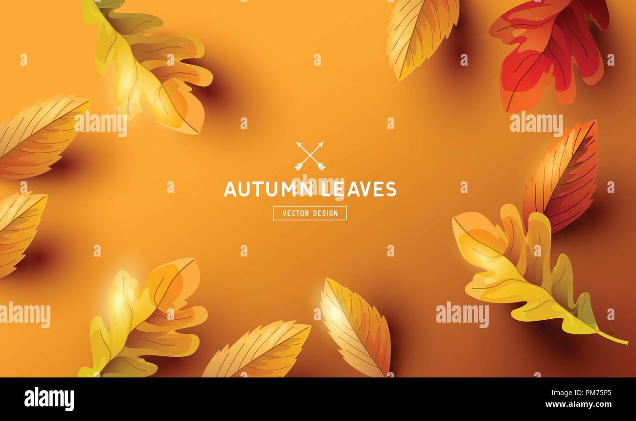 Herbst Hintergrund mit dem fallenden Herbstlaub und Platz für Text. Vector Illustration Stock Vektor