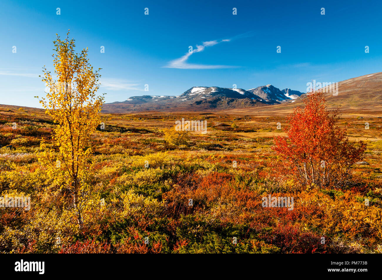 Herbst Farben in den norwegischen Bergen Stockfoto