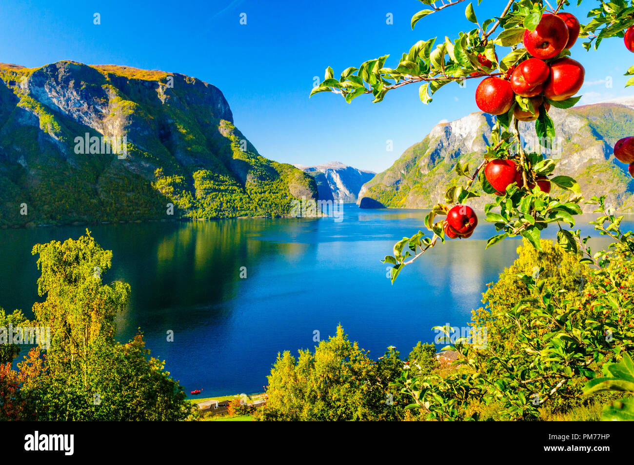 Herbst Farben in den norwegischen Bergen Stockfoto