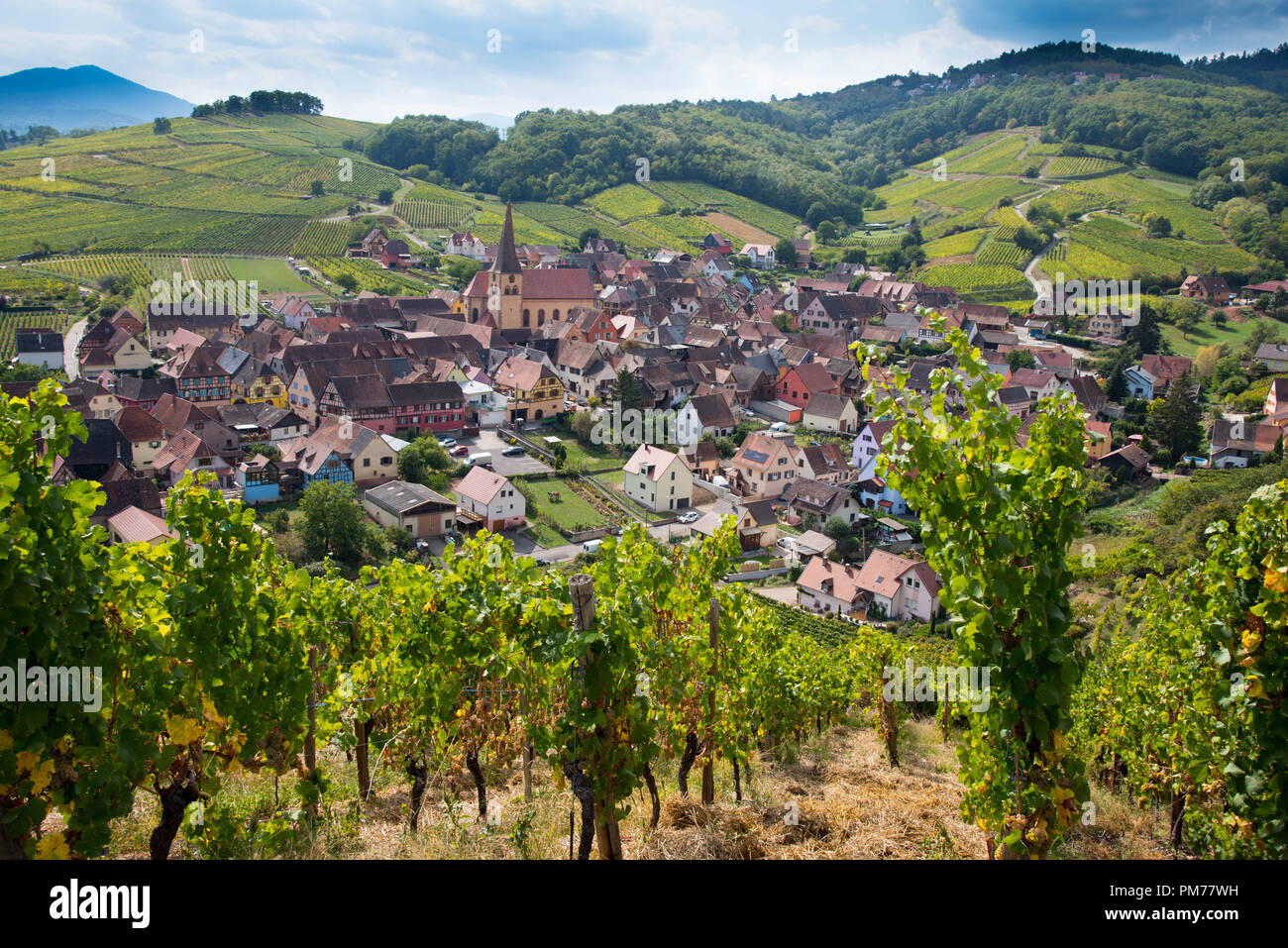 Malerische Dorf Riquewihr im Elsass Stockfoto