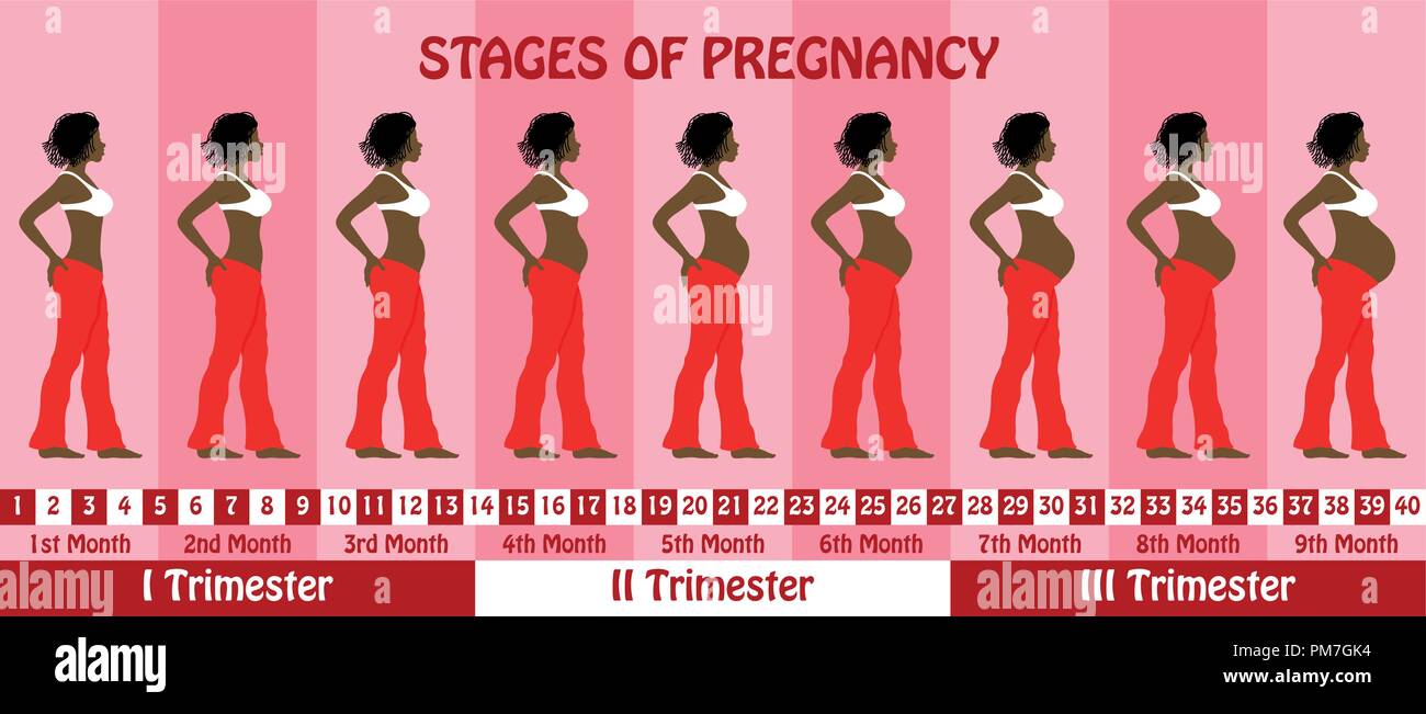 Stadien der Schwangerschaft mit einer schwangeren Frau trägt dreadlocks Haare schwarz Bh und sackartigen Hosen. Alle Objekte und Körper Phasen sind in verschiedenen Schichten und Stock Vektor