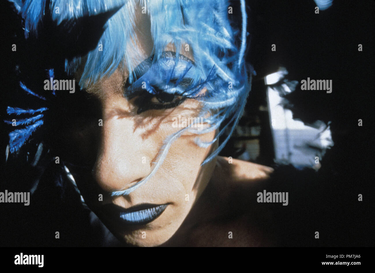 Szenenfoto aus "Die Abenteuer von Priscilla, Königin der Wüste' Guy Pearce © 1994 Gramercy Pictures Photo Credit: Elise Lockwood Datei Referenz # 31129116 THA nur für redaktionelle Verwendung - Alle Rechte vorbehalten Stockfoto