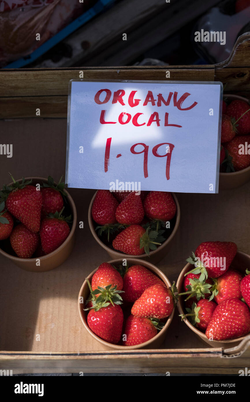 Organische lokale Erdbeeren zum Verkauf Stockfoto