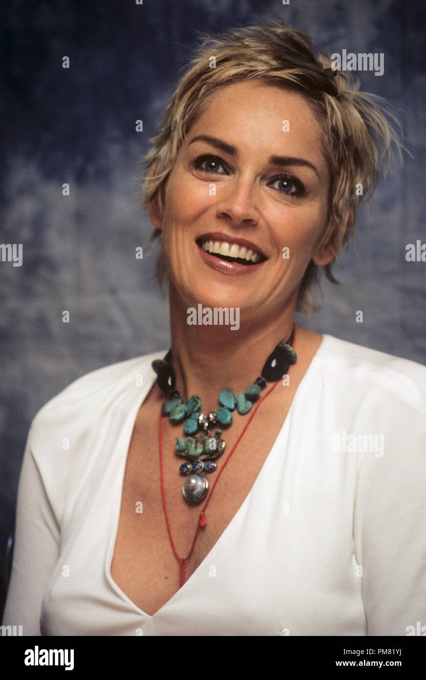 Sharon Stone, 2004. Reproduktion von amerikanischen Boulevardzeitungen ist absolut verboten. © GFS/Hollywood Archiv - Alle Rechte vorbehalten File Reference # 31315 138 Stockfoto