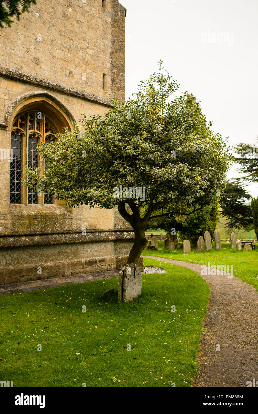 Gotisches Fensterwerk von St. Michaels und All Angle Church in Guiting Power, England. Stockfoto