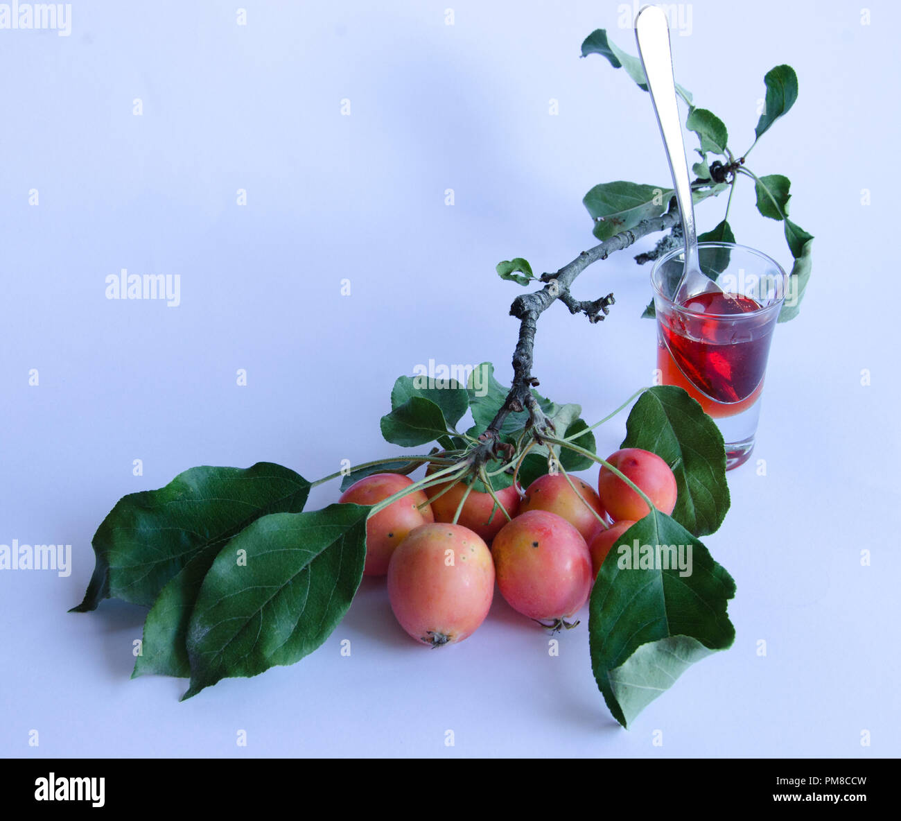 Wilde Äpfel mit lebendigen Farben auf einem Zweig und hausgemachte Marmelade auf weißem Hintergrund Stockfoto