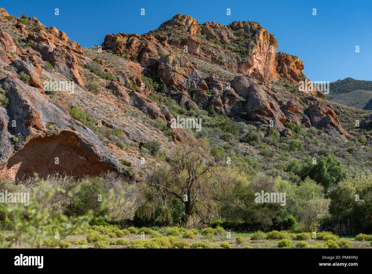 Redstone Hills, Klein Karoo, Südafrika Stockfoto