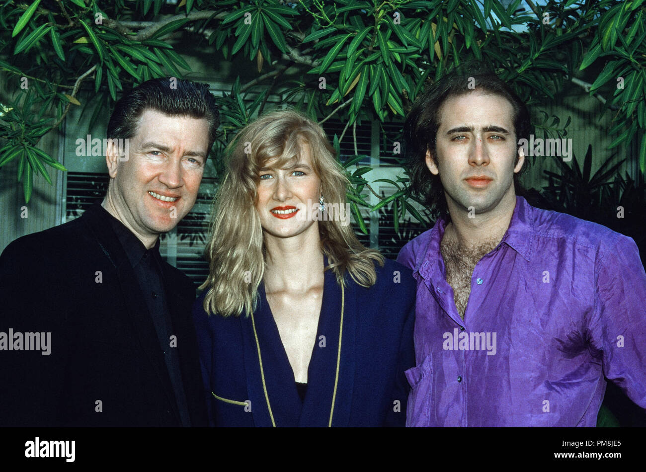 David Lynch, Laura Dern und Nicolas Cage in "Wild at Heart", Pressekonferenz, 1990. © GFS/Hollywood Archiv - Alle Rechte vorbehalten File Reference # 31515 397 Stockfoto