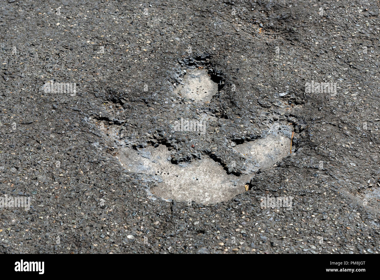 Fußabdrücke von Dinosauriern, Royal British Columbia Museum, Victoria, der Hauptstadt von British Columbia, Kanada Stockfoto