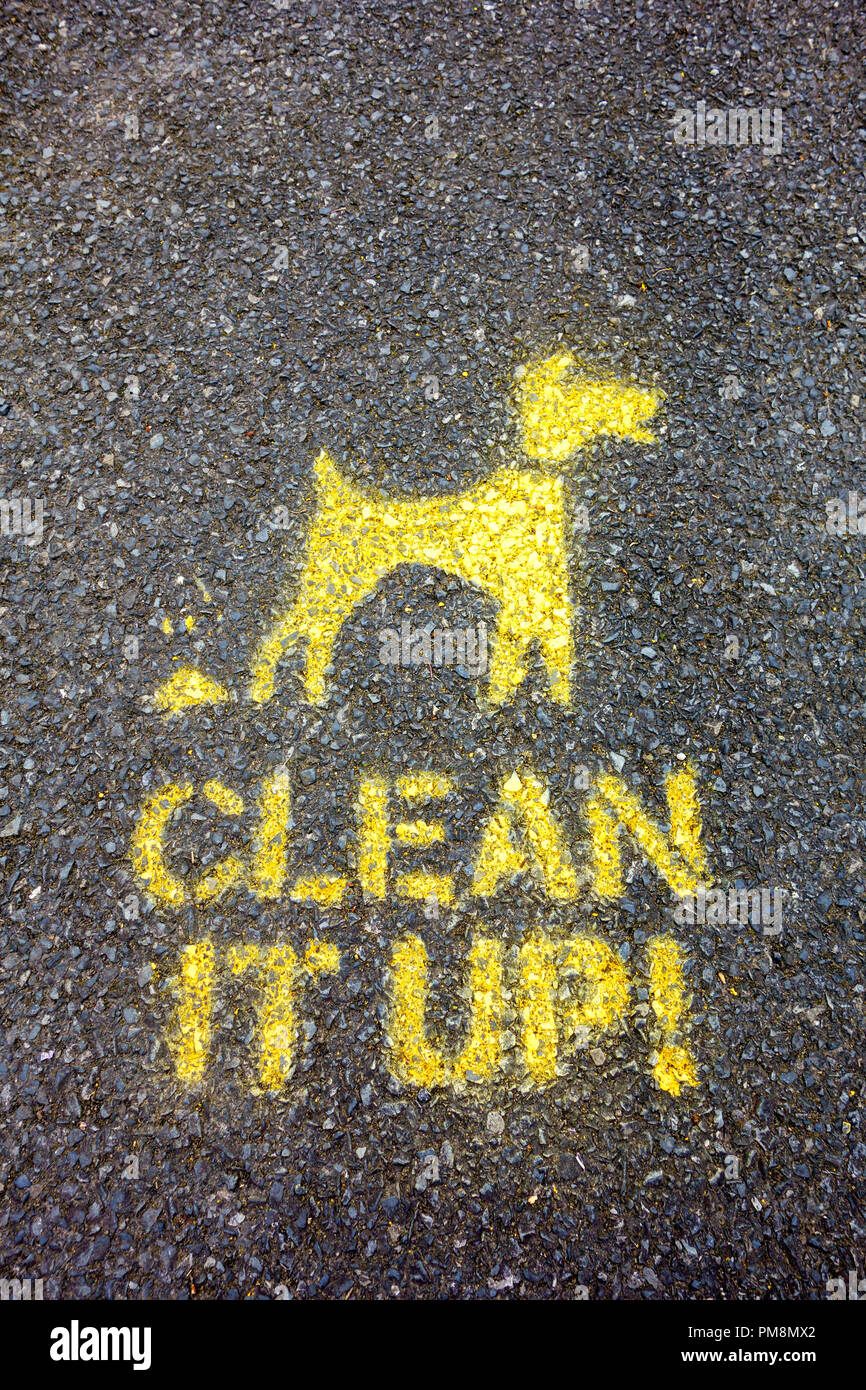 Sauber Hundehaufen Markierungen auf dem Weg. Großbritannien Stockfoto