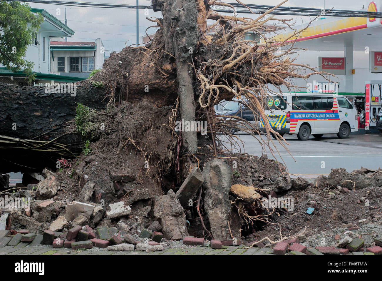 Eine 200 Jahre alte Akazie fiel nach einem starken Tornado die Gegend am 14. September 2018 um 5:30 Uhr getroffen. Der Baum ist bekannt als eine der ältesten Baum in der Stadt und war sogar für einen historischen Hintergrund ausgezeichnet. Am 14. September 2018, Super Typhoon Mangkhut auf den Philippinen mit Windgeschwindigkeiten von 205 Kilometern pro Stunde (km/h) und Böen bis 255 km/h. Mehr als tausend philippinischen Bürger im ganzen Land betroffen sind. Meteorologen haben die Manghut als stärkste ofthe Typhoon dieses Jahr genannt. Mangkhut ist der 15 Sturm der Philippinen in diesem Jahr zerschlagen. Stockfoto