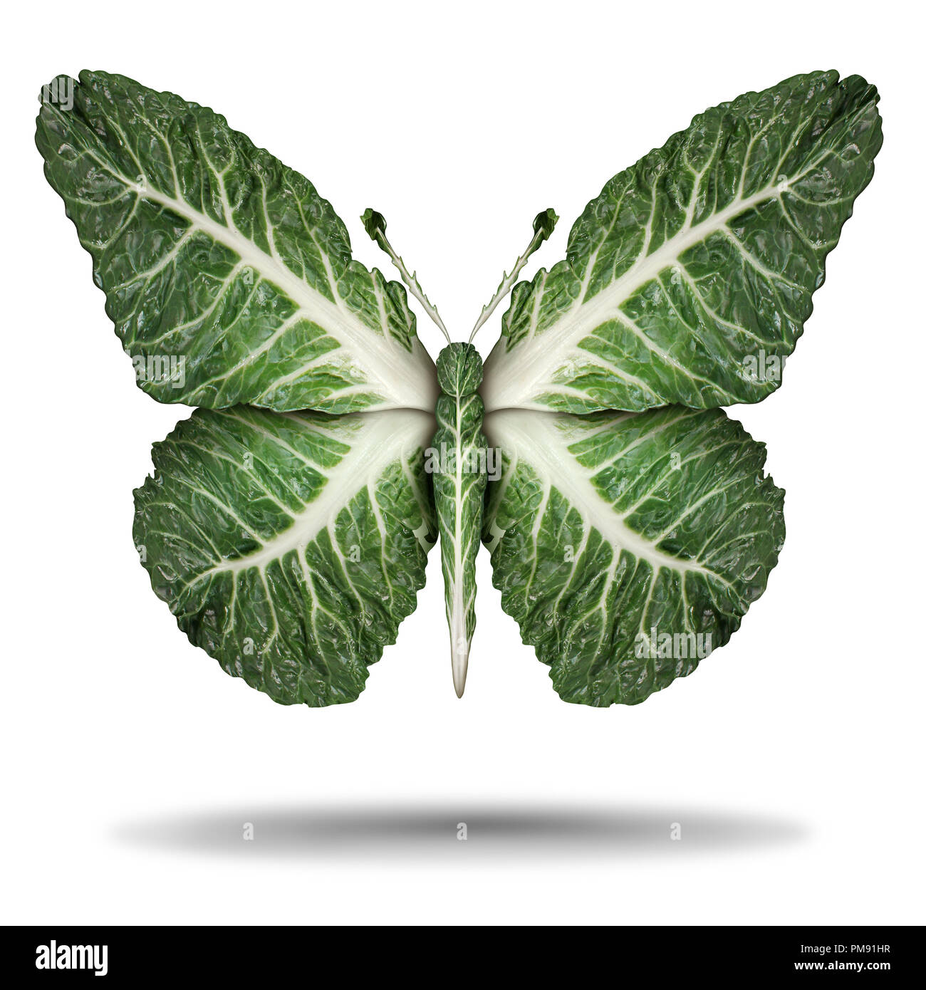 Vegane grüne Blätter Symbol und vegan oder vegetarisch Konzept als Pflanzliche pflanzliche Therapie Diät lifestyle als Kale Lamellen geformt als fliegende Butte Stockfoto